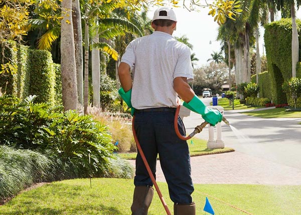 About Auke Bay AK Pest Control